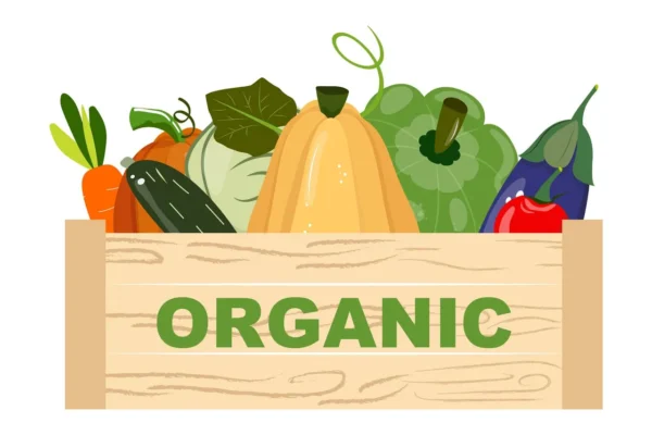 Warzywa ekologiczne – dlaczego warto je wybierać? Sprawdzamy!