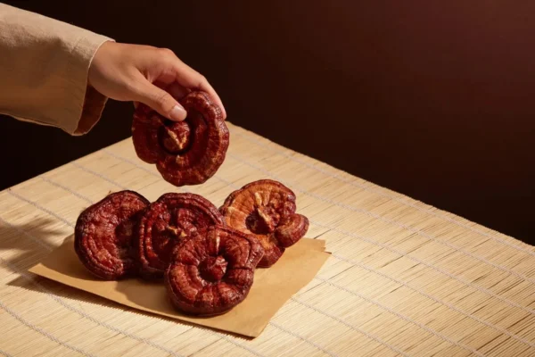 Reishi – właściwości, działanie i zastosowanie grzyba nieśmiertelności