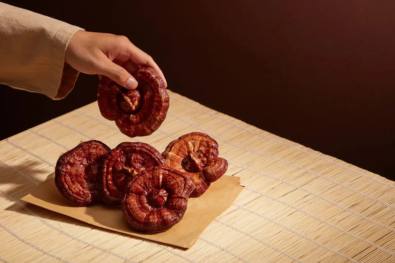 Reishi – właściwości, działanie i zastosowanie grzyba nieśmiertelności